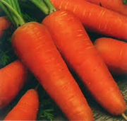 Семена моркови Курода Новая