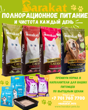 Barakat — премиум питание и уход для ваших питомцев.